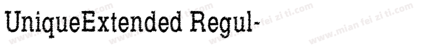 UniqueExtended Regul字体转换